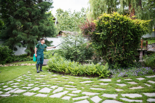 Best Affordable Pest Control Services  in Clinton, NC
