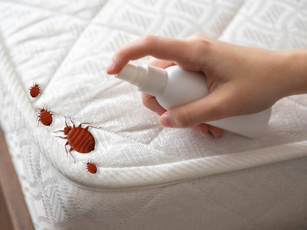 Best Insect Control  in Clinton, NC