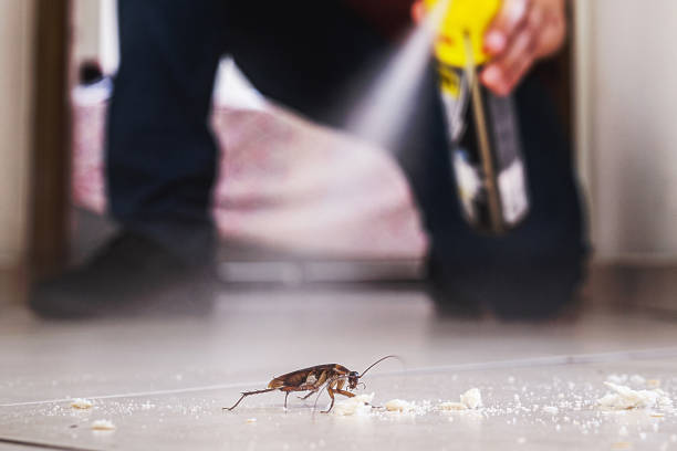 Best Pest Control Near Me  in Clinton, NC